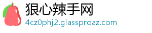 狠心辣手网